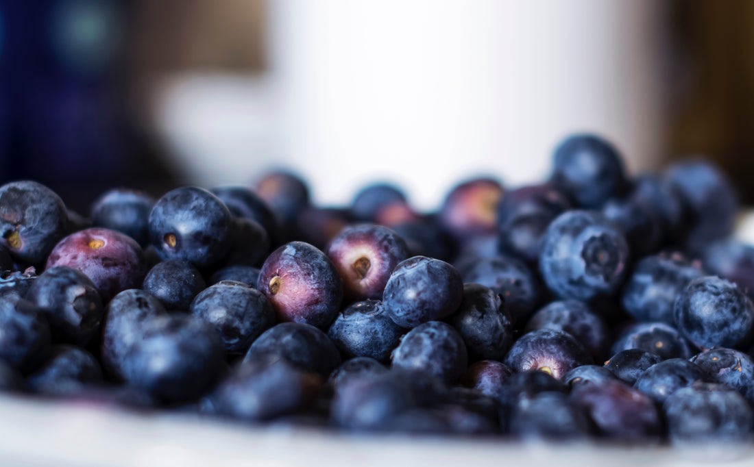 Blueberry Zucchini Bread